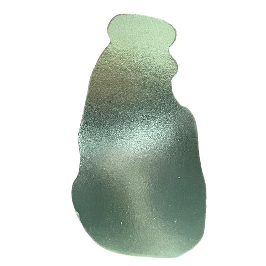 Sri Lanka Shaped Metallic Fridge Magnet – Tooth Relic Temple & Dalada Perahera (2"x3.75")