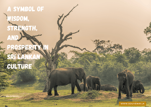 The Story Behind Sri Lankan Elephant Figurines