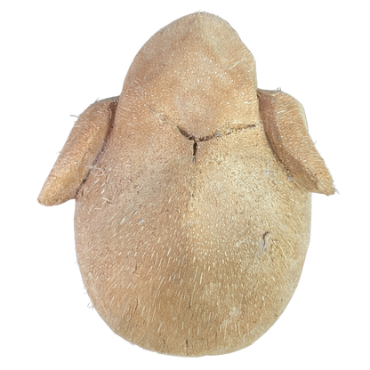 Handmade Coconut Husk Figurines | Sri Lankan Eco-Friendly Art & Souvenirs