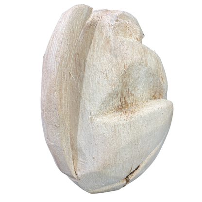 Handmade Coconut Husk Figurines | Sri Lankan Eco-Friendly Art & Souvenirs