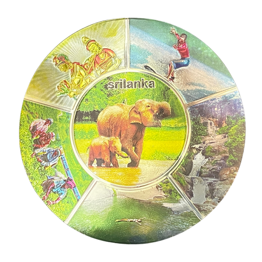 Round Metallic Rubber Sri Lanka Magnet – Elephants, Sigiriya & More (3.25")