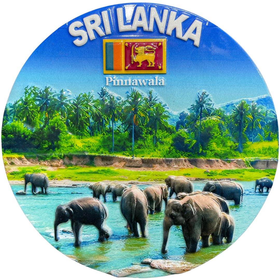 Sri Lankan Ceramic Souvenir Plates – Iconic Themes of Sri Lanka