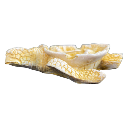 Ashtray - Polystone Tortoise – Sri Lankan Souvenir Décor
