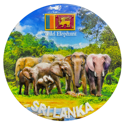 Sri Lankan Ceramic Souvenir Plates – Iconic Themes of Sri Lanka