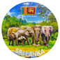 Sri Lankan Ceramic Souvenir Plates – Iconic Themes of Sri Lanka