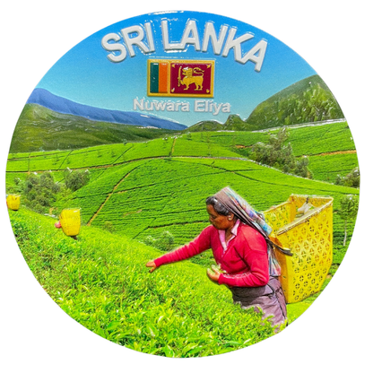 Sri Lankan Ceramic Souvenir Plates – Iconic Themes of Sri Lanka