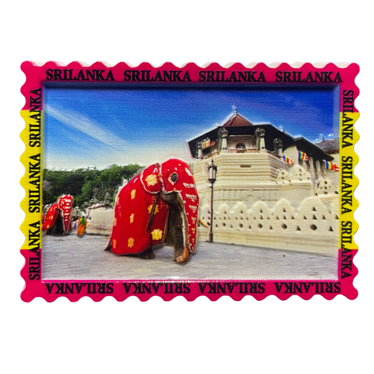 3D Polyresin Sri Lankan Elephant Magnet – Kandy Perahera Design