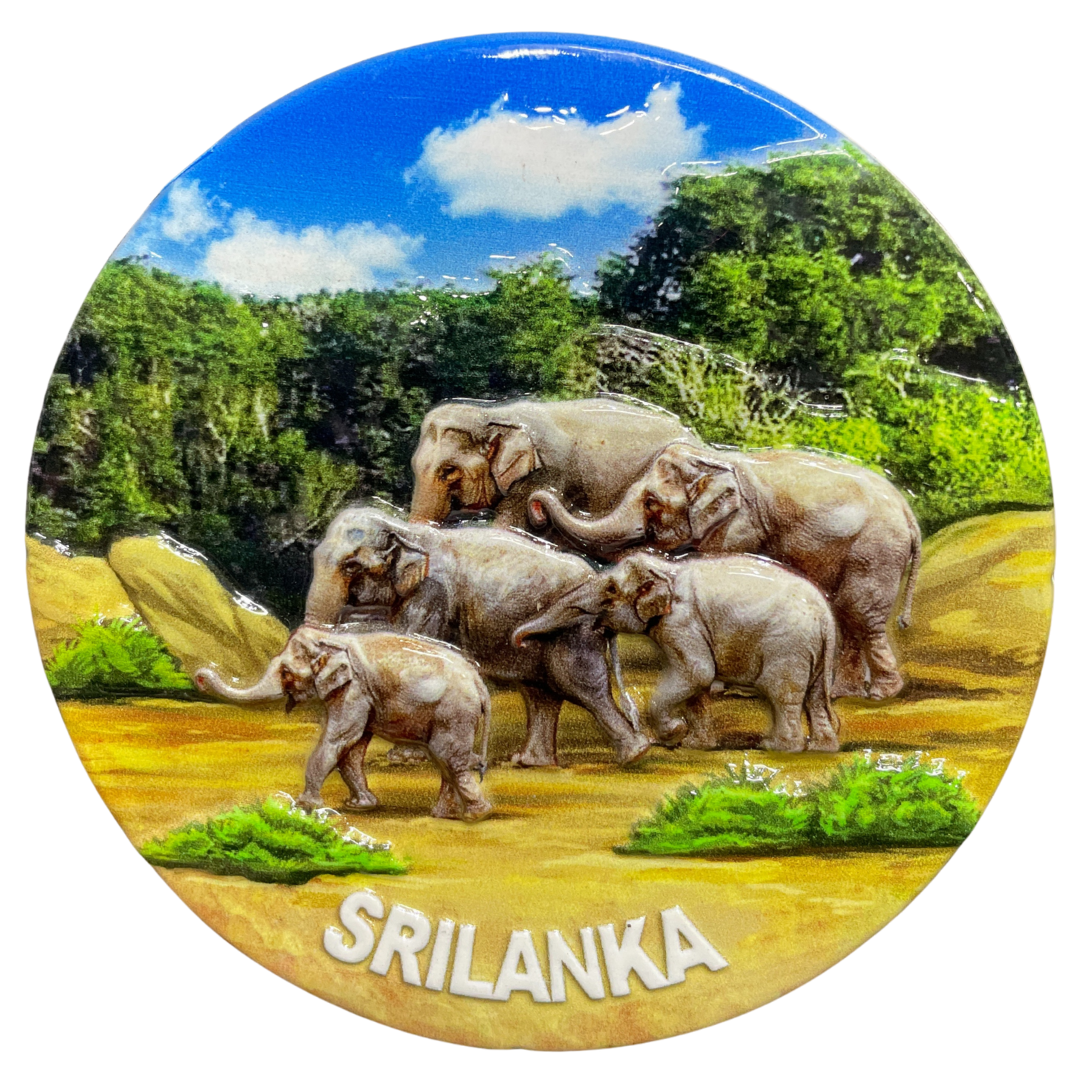 Sri Lankan Ceramic Souvenir Plates – Iconic Themes of Sri Lanka